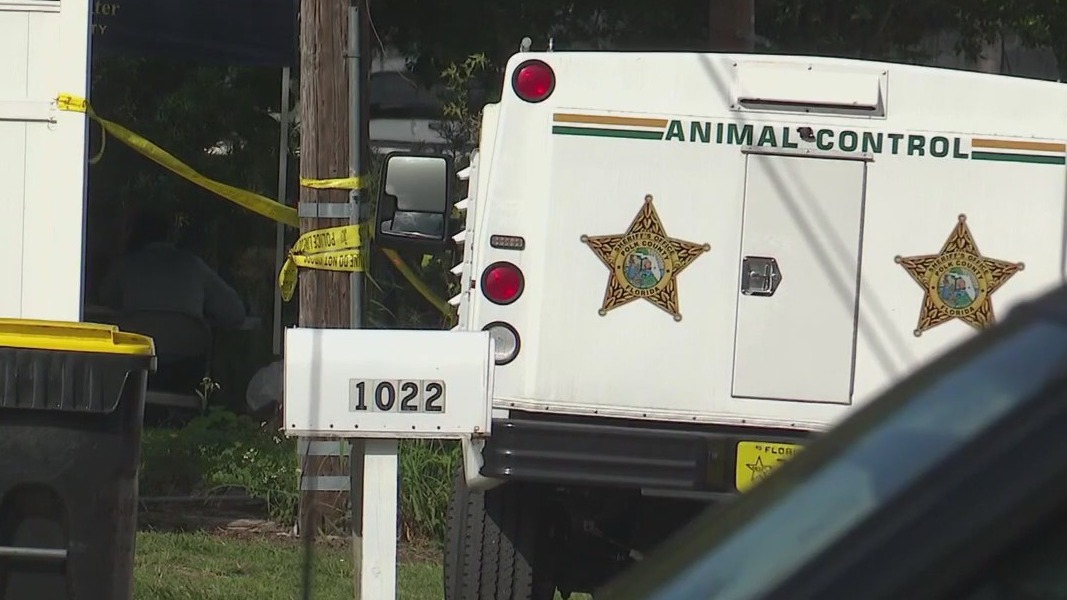 Search for Tonya Whipp continues